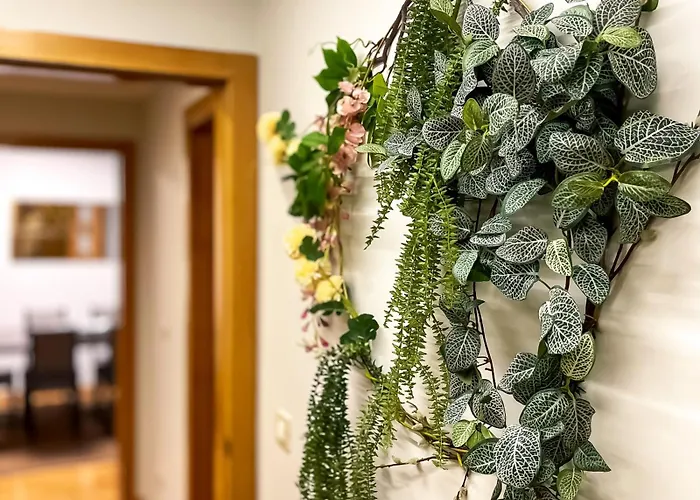 Barbon 18 Urban By Vigovacaciones * Vigo